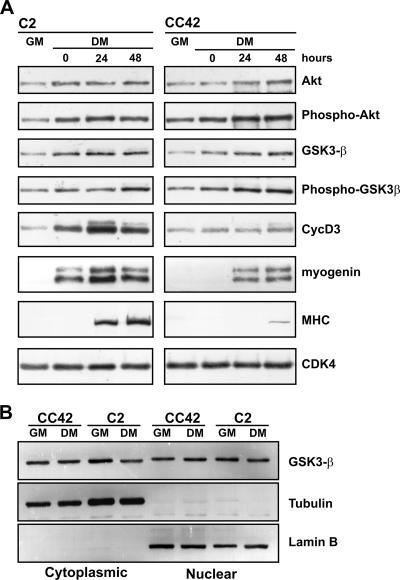 FIG. 5.