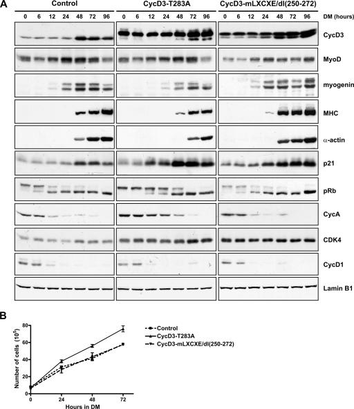 FIG. 10.