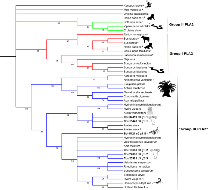 Figure 5