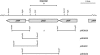FIG. 2.