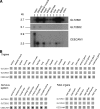 FIG. 8.