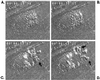 FIG. 8