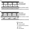 FIG. 6