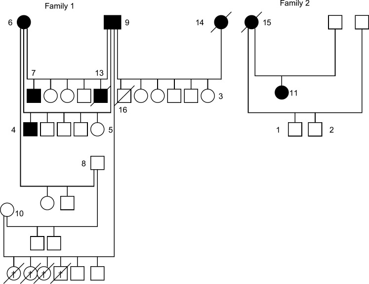 Fig 1.