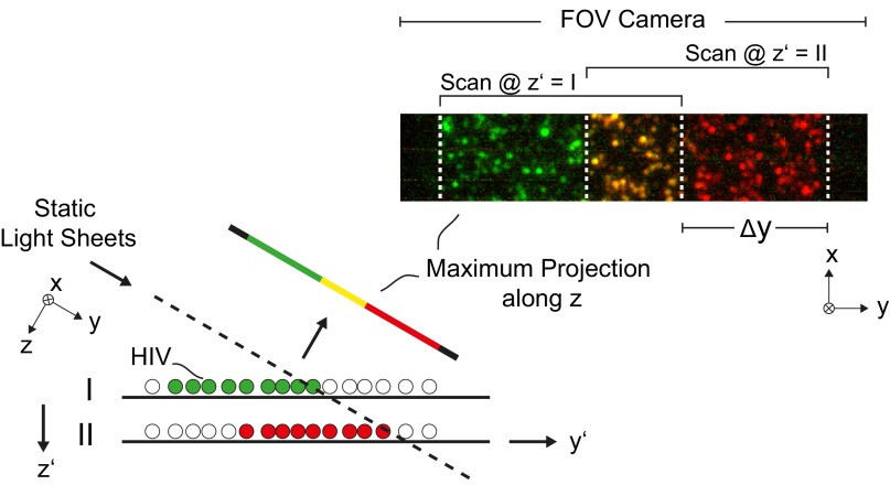 Fig. S6.