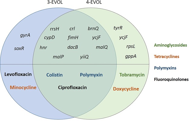 FIG 3