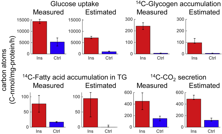 Figure 4