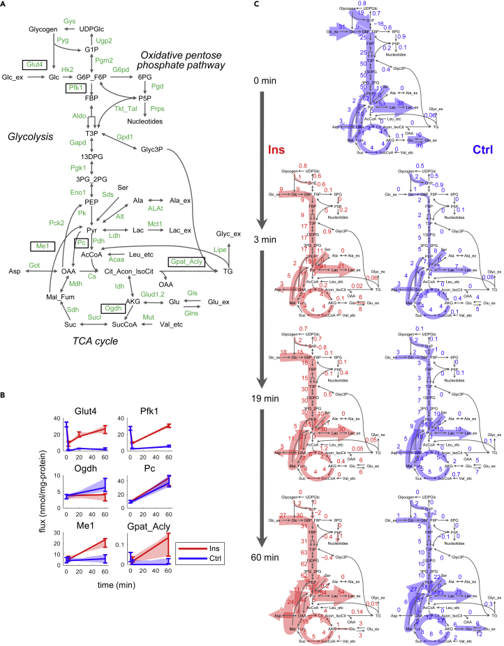 Figure 3