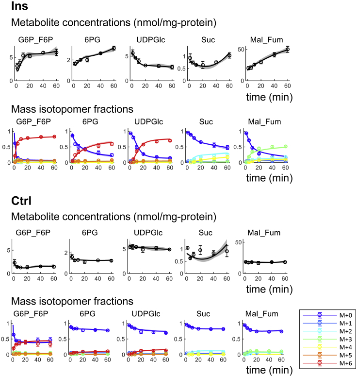 Figure 2