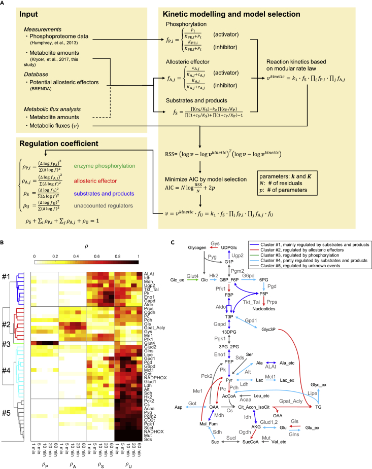 Figure 5