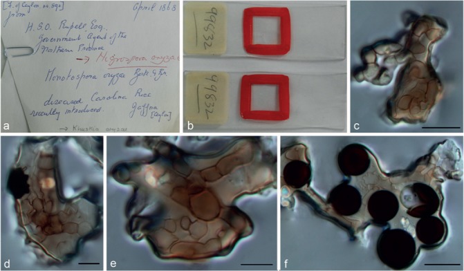 Fig. 13