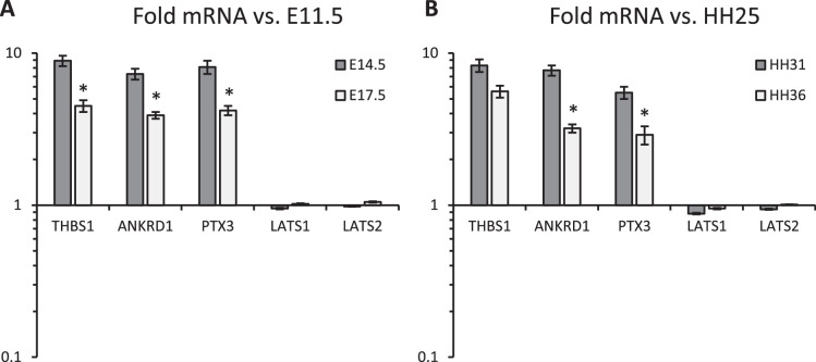 Figure 1—figure supplement 2.