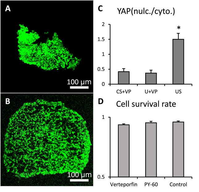 Figure 3—figure supplement 1.