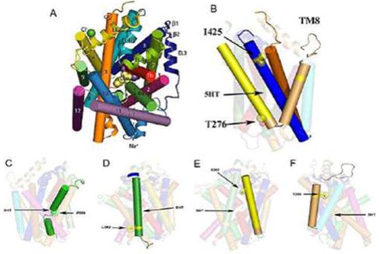 Figure 22