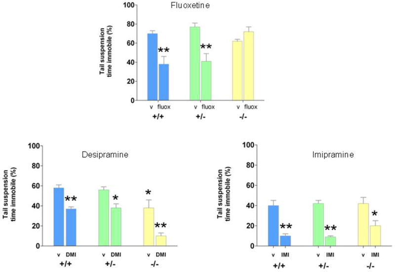 Figure 25