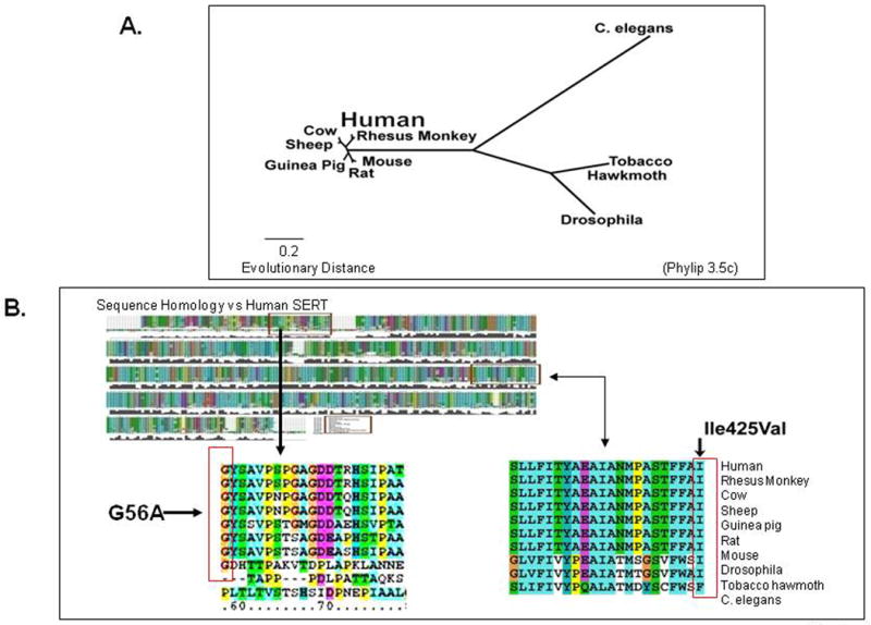 Figure 21