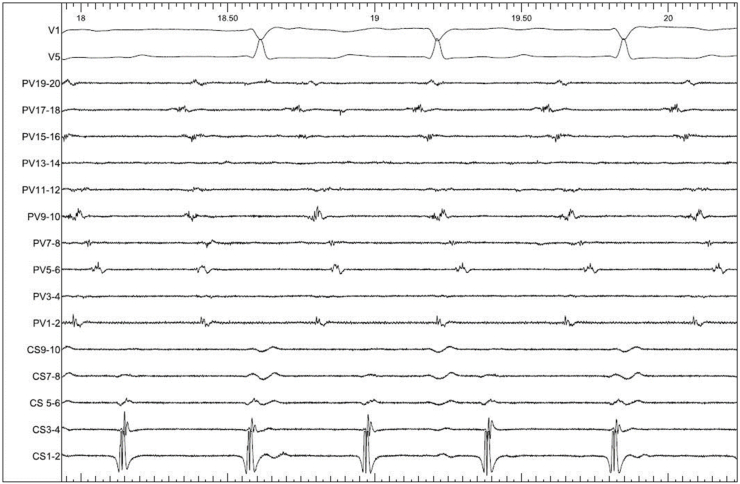 Fig. 6