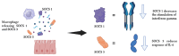 Figure 7