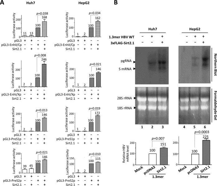 FIG 3