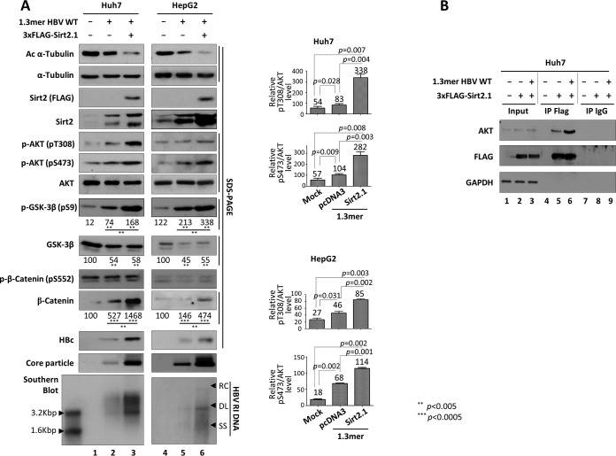 FIG 6