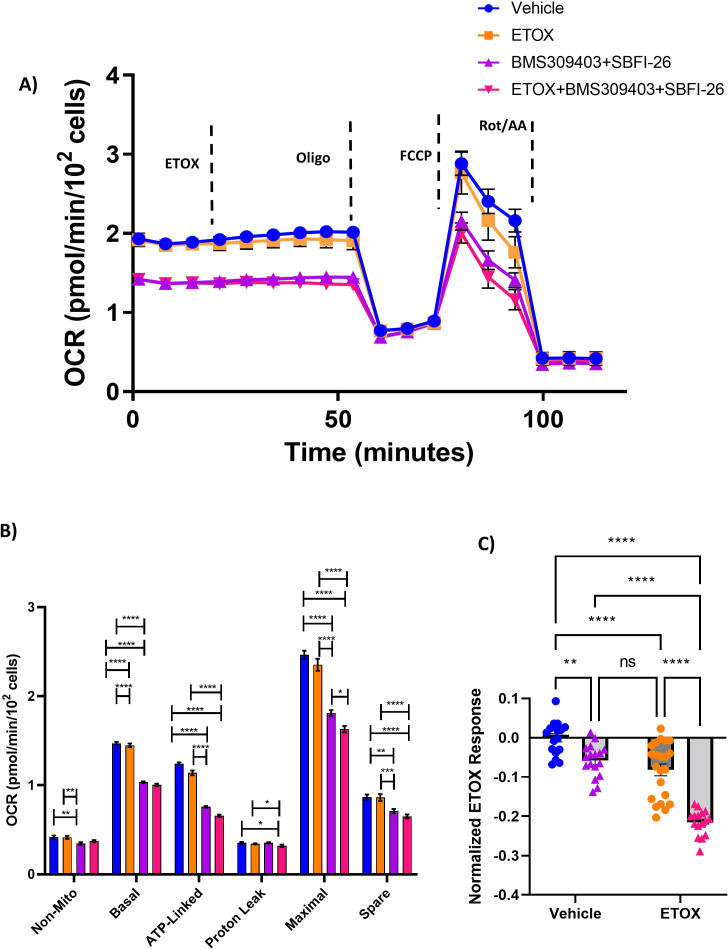 Figure 5—figure supplement 2.