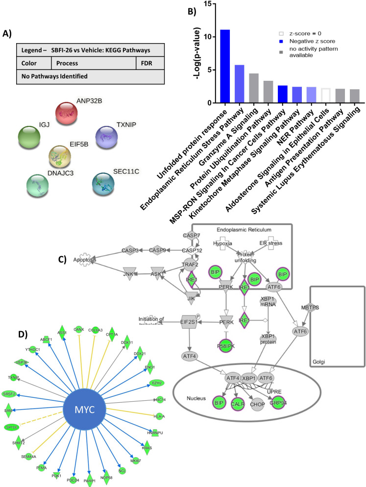 Figure 2—figure supplement 2.