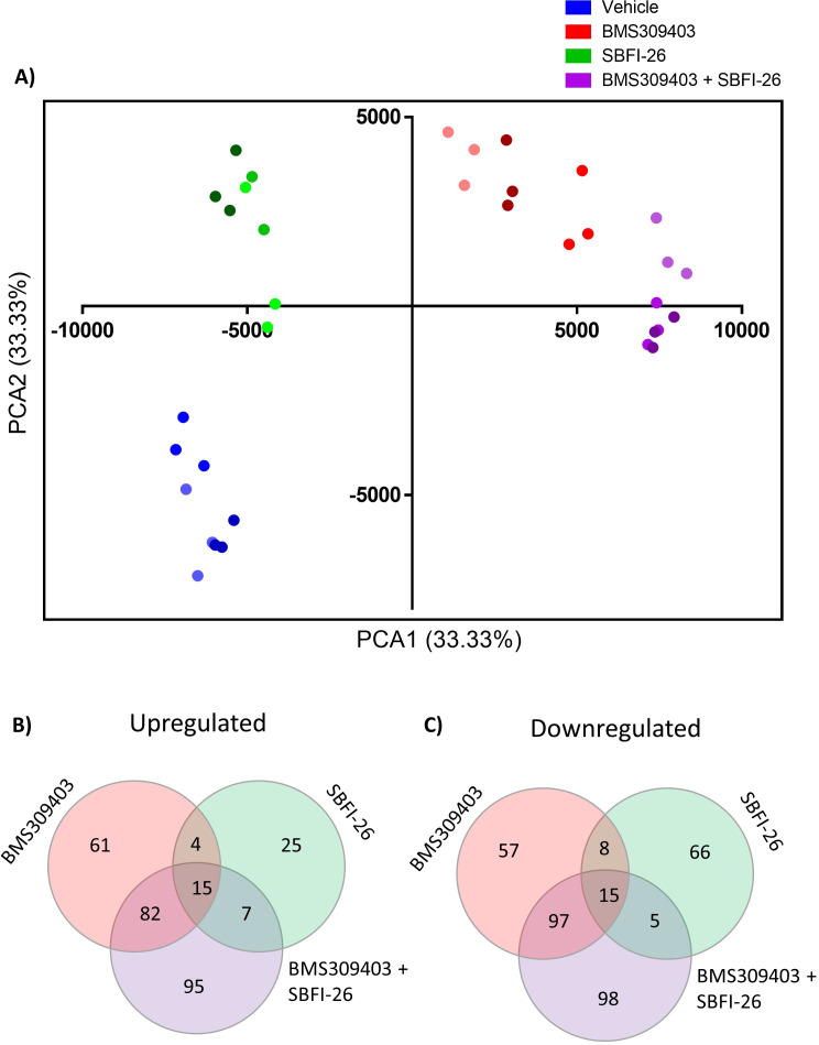 Figure 3—figure supplement 1.