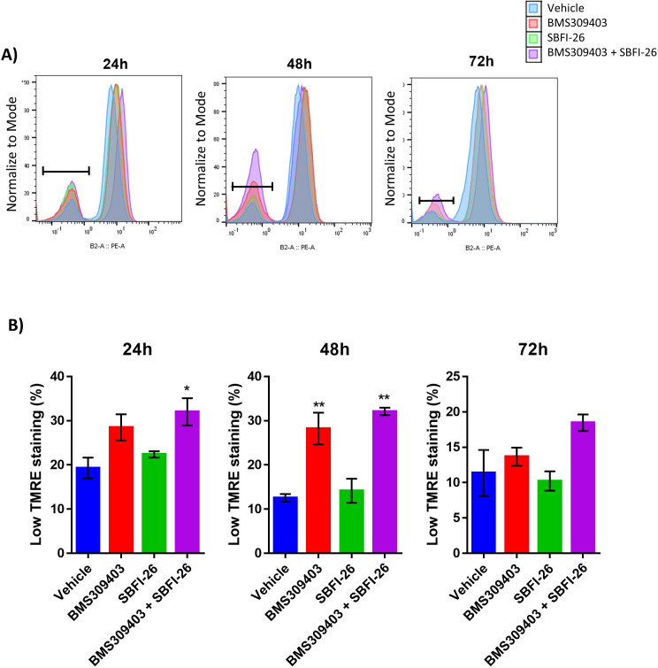 Figure 5—figure supplement 3.