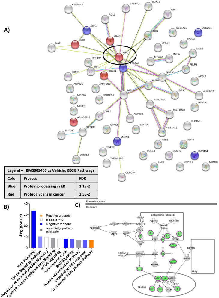 Figure 2—figure supplement 1.