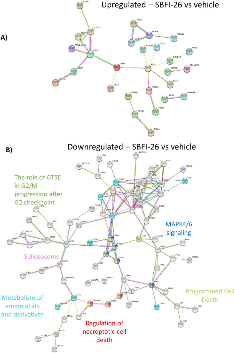 Figure 3—figure supplement 3.