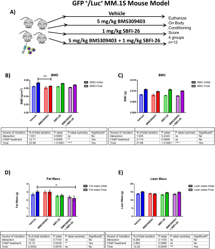 Figure 6—figure supplement 1.