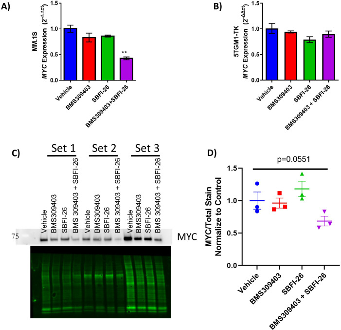 Figure 3—figure supplement 6.