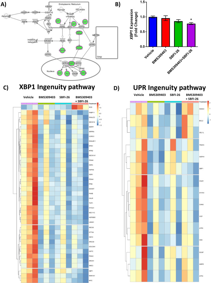 Figure 2—figure supplement 3.