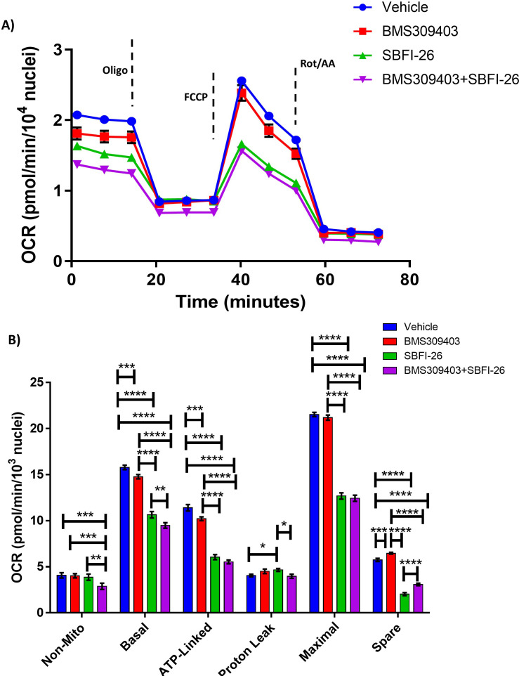 Figure 5—figure supplement 1.