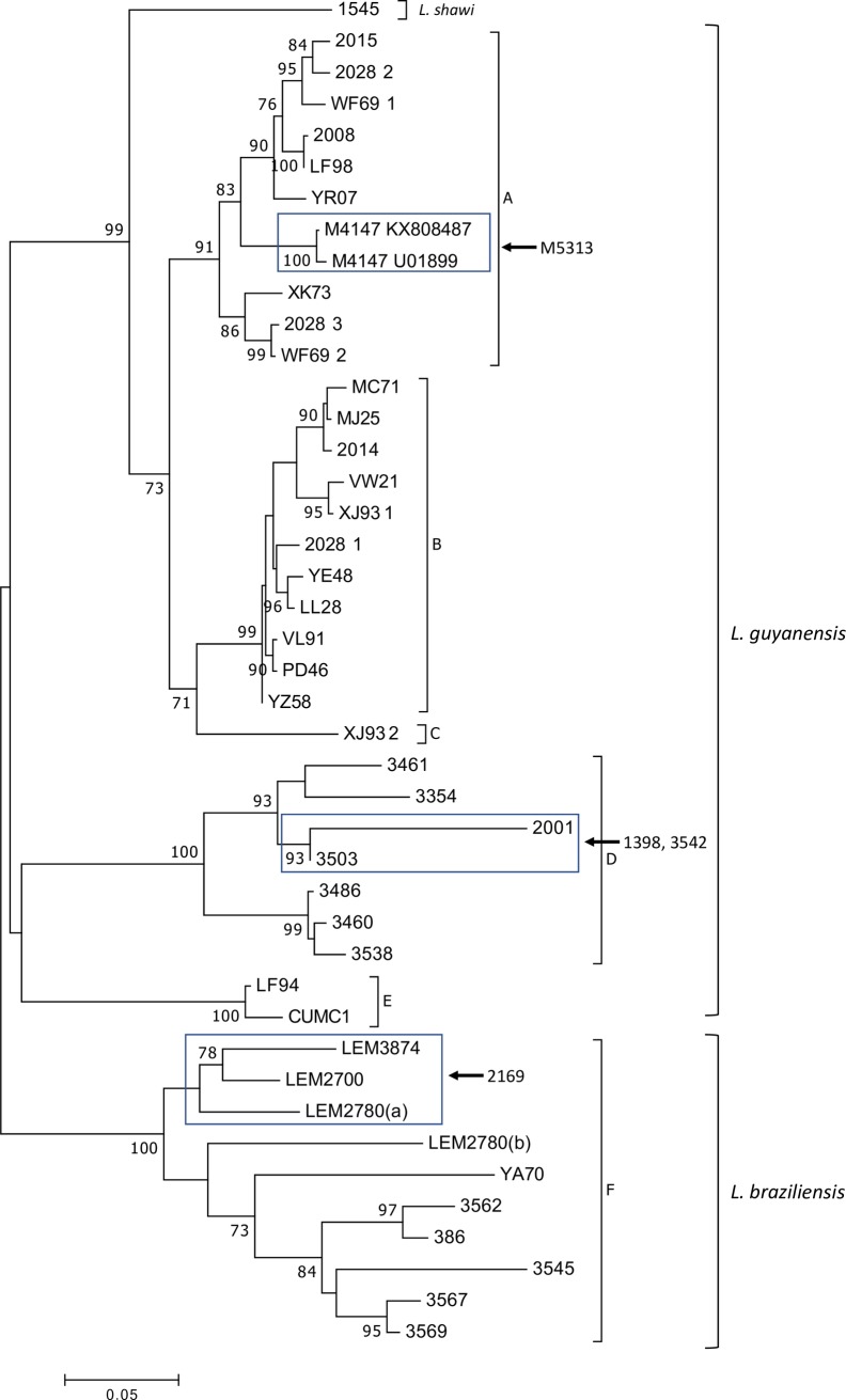 Fig 2