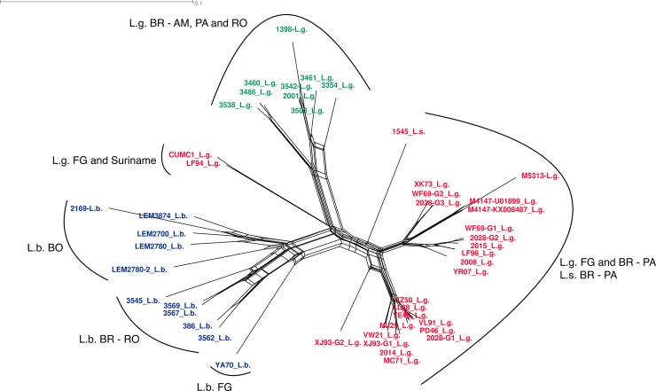 Fig 3