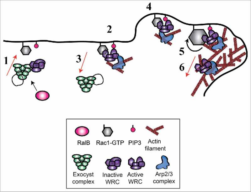 Figure 3.