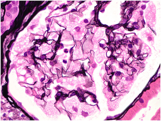 Figure 4