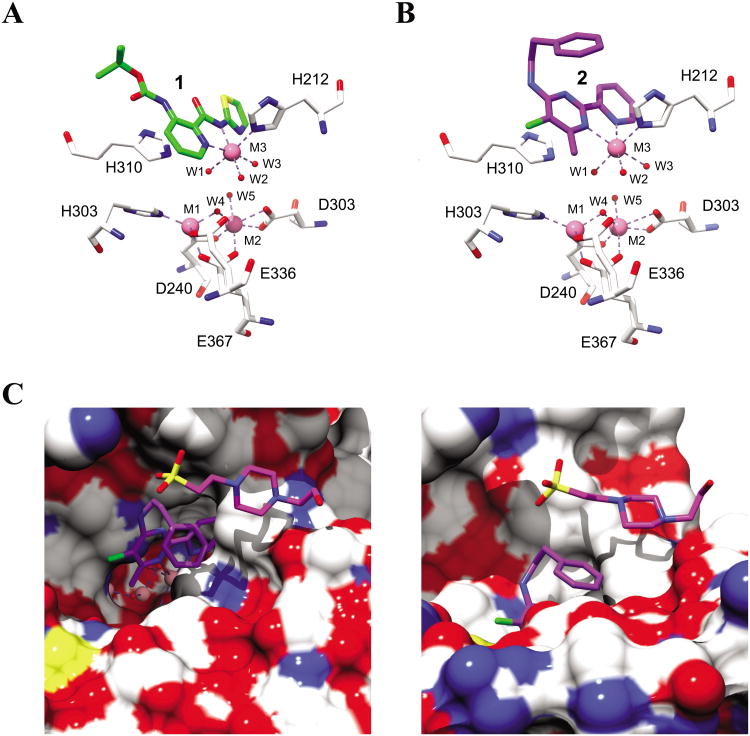 Figure 2