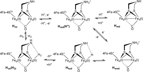 Scheme 1