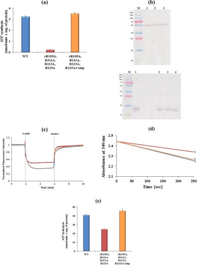 Figure 5