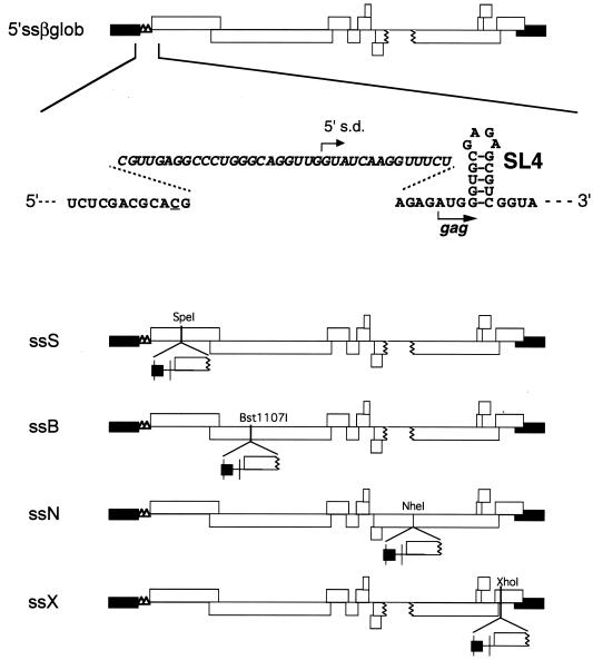 FIG. 5