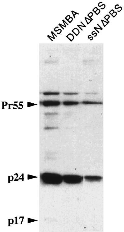 FIG. 7