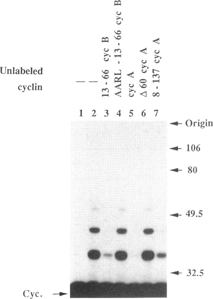 graphic file with name mbc00022-0068-a.jpg