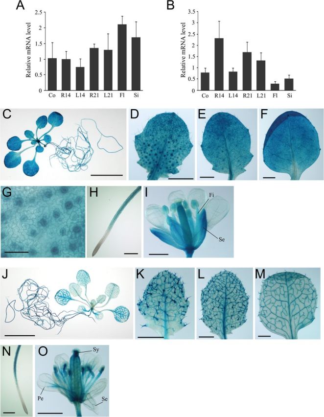 Fig. 9.