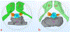 Figure 11.