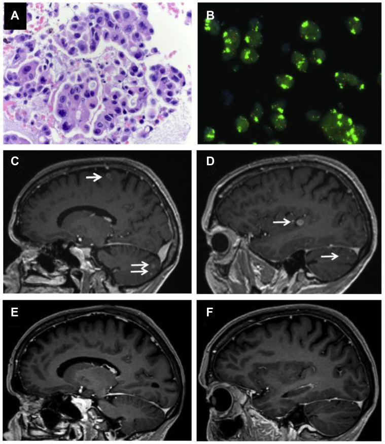 Figure 1