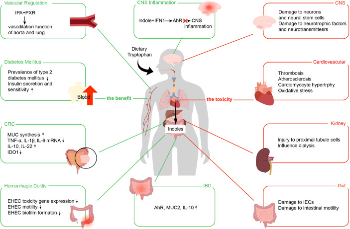 Figure 4
