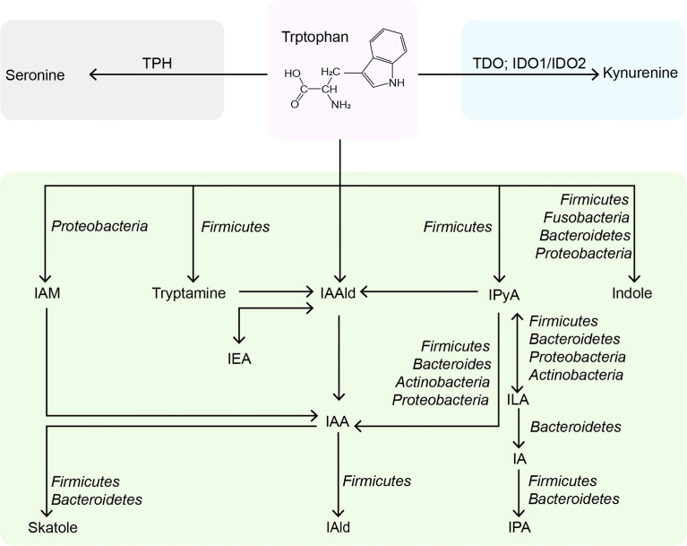 Figure 1