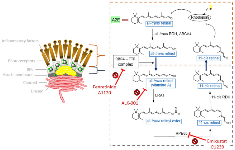 Figure 12